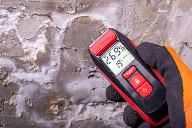 Best Residential Mold Removal  in Hawkins, TX